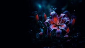 Journey of Serenity and Self-Discovery