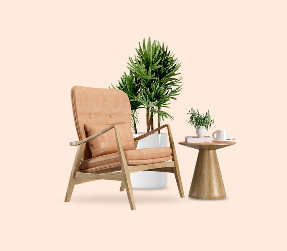 Furniture Interior