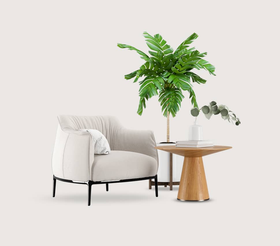 Appliances Furniture