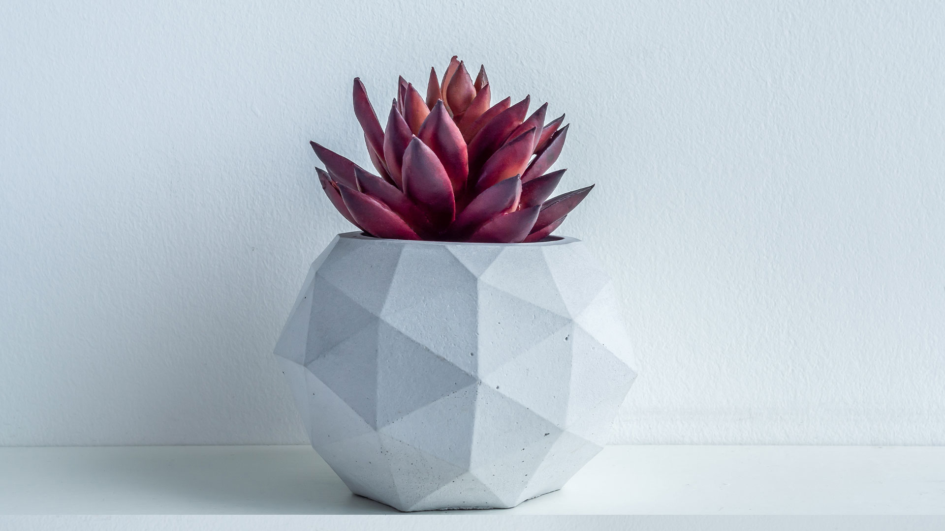 Faux Succulents