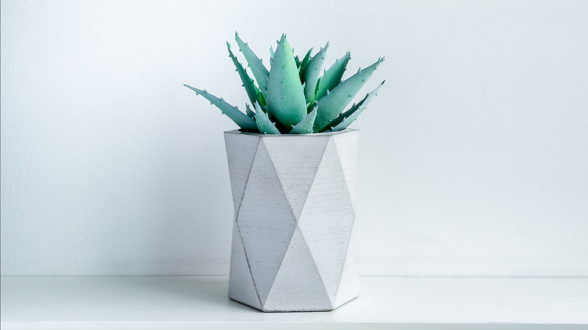 Green Aloe Vera