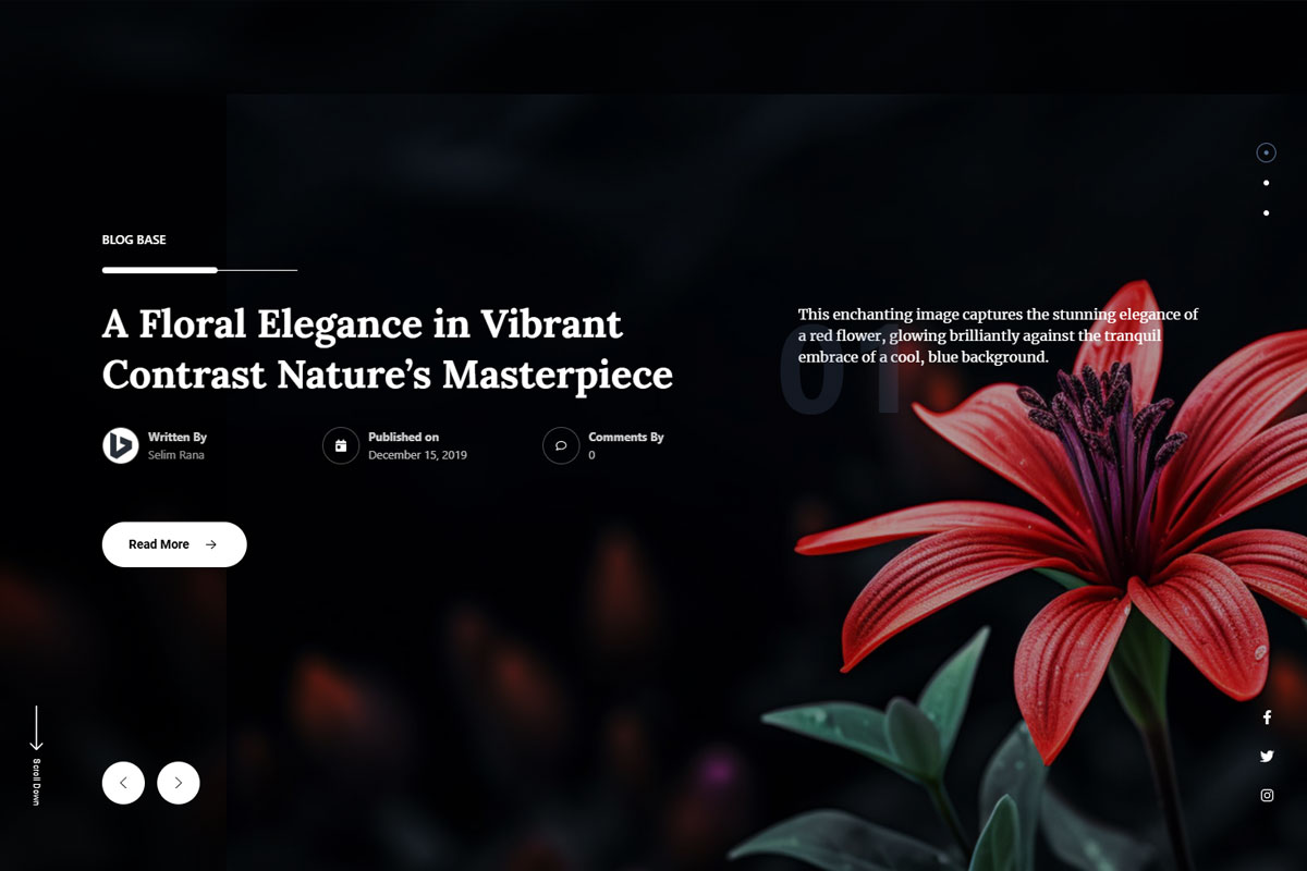 Blog Base Demo 1