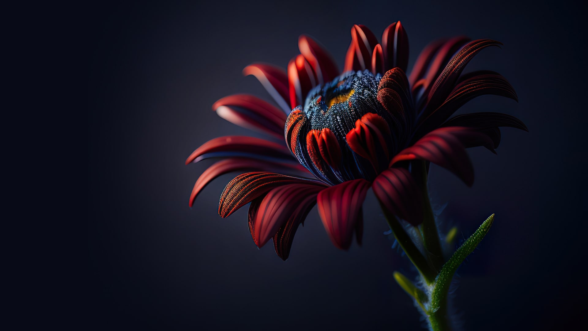 Scarlet Symphony A Bloom Against the Depths of Blue Dreams