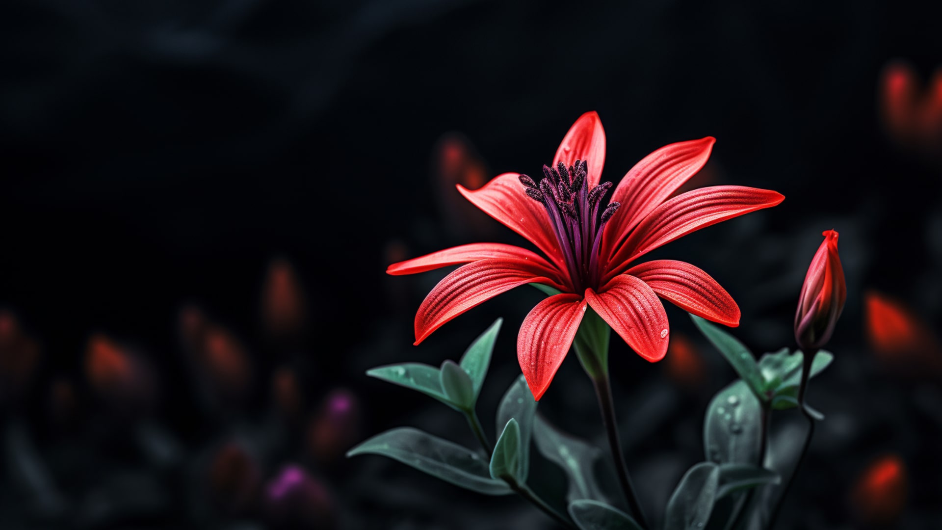 A Floral Elegance in Vibrant Contrast Nature’s Masterpiece