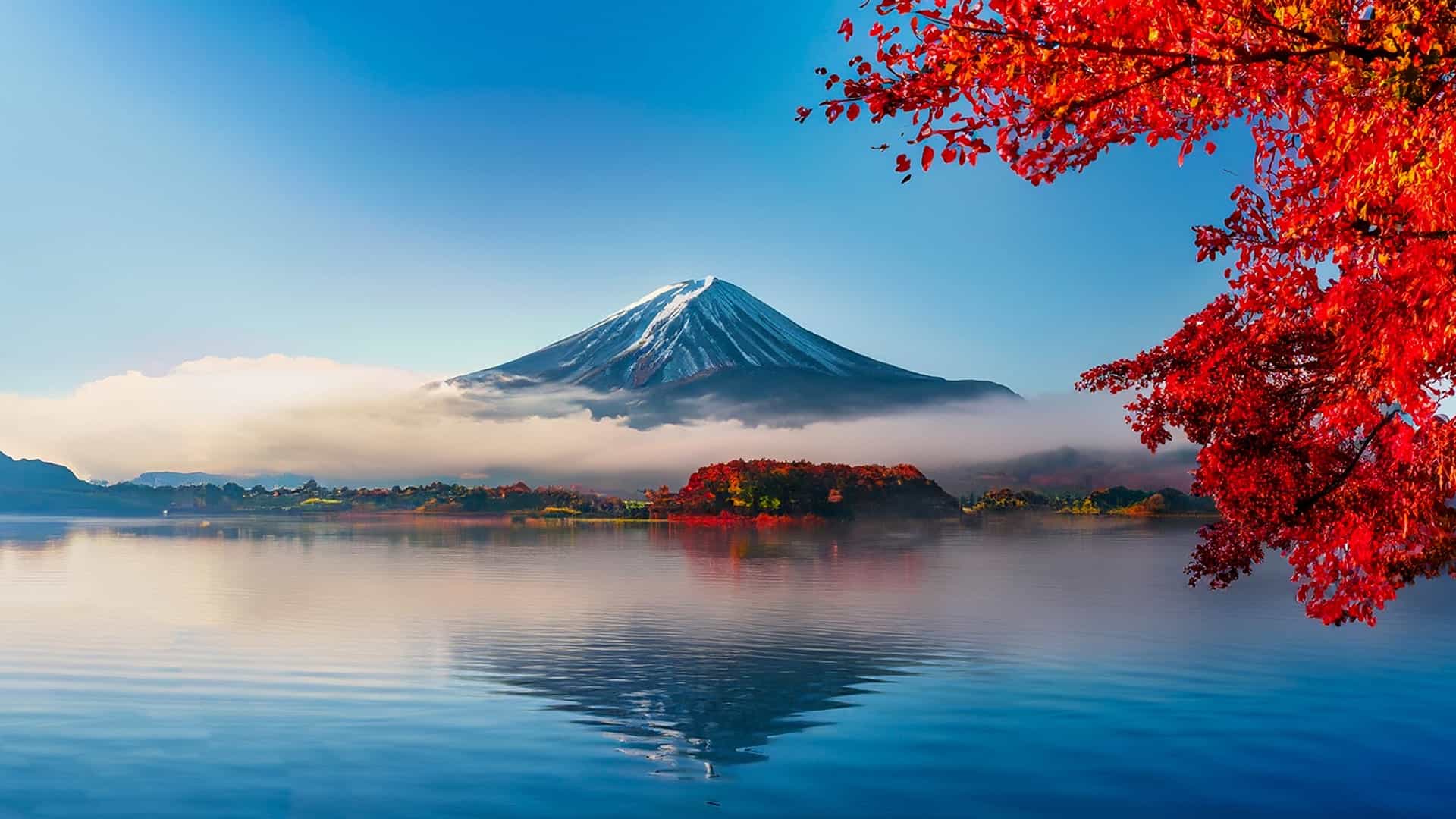 Tranquility