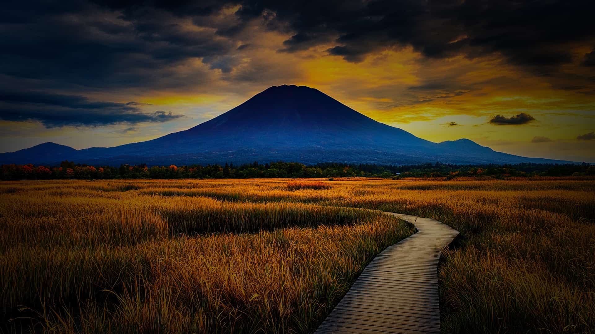 Nature Path